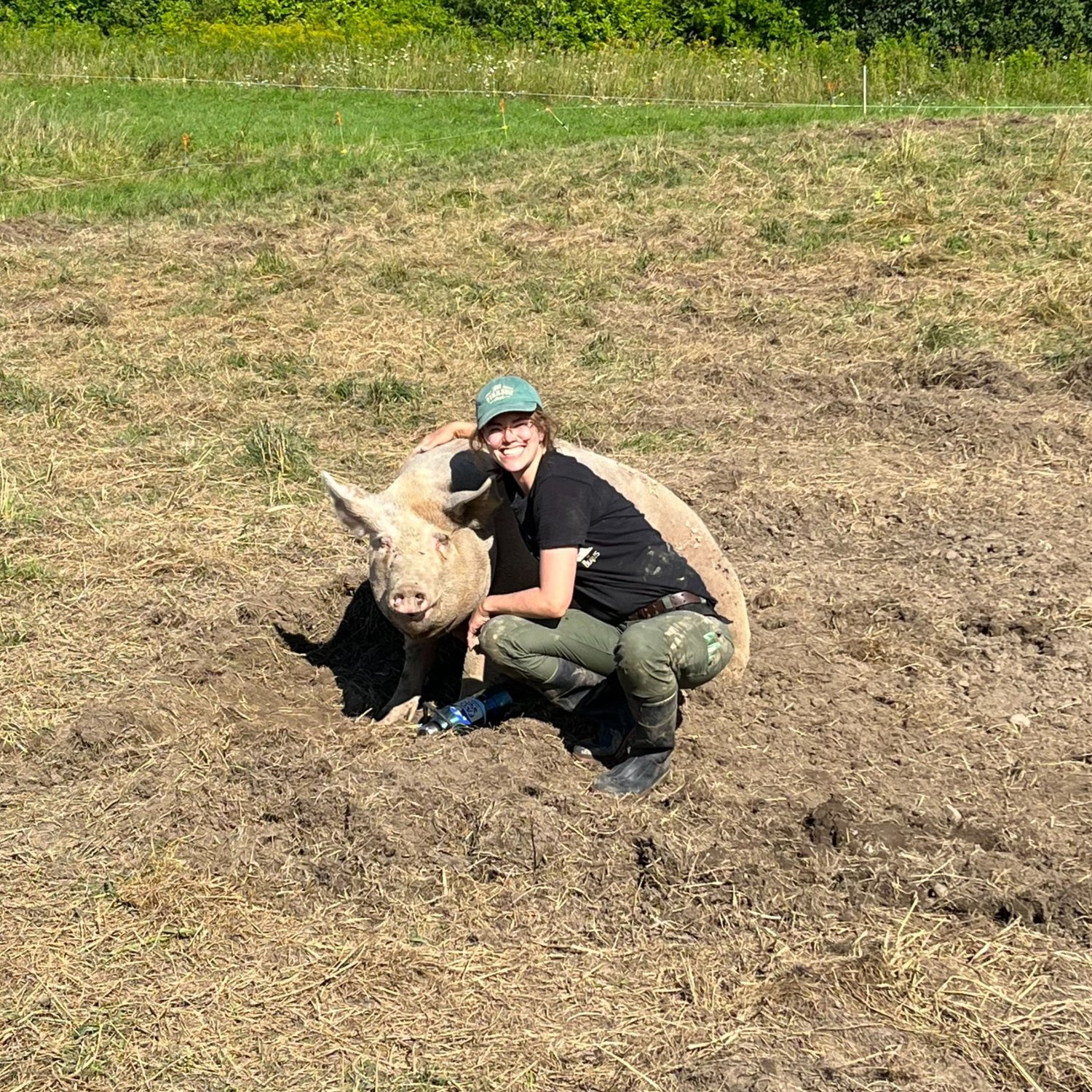 A farmer smiling while hugging a large pig in a muddy field, showcasing a connection between humans and animals in sustainable farming practices.